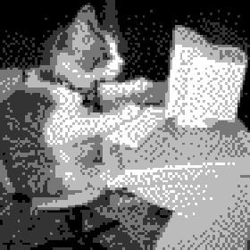 image of a cat on a computer