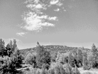 random landscape photo
